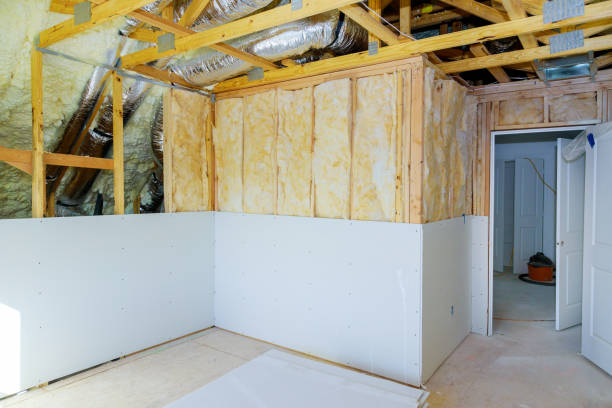 Best Cellulose Insulation in Pocahontas, AR