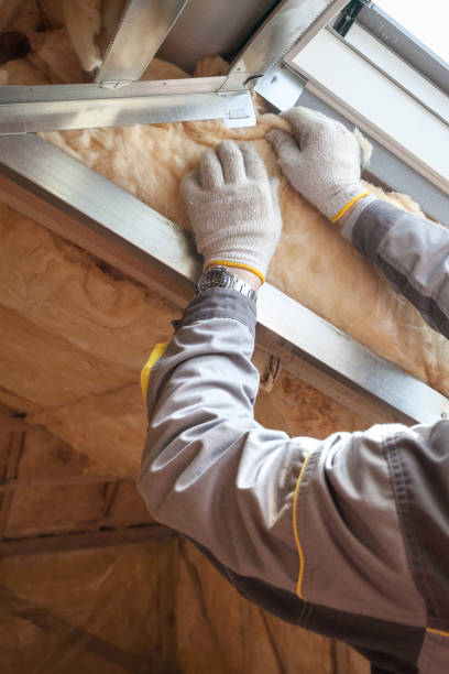 Types of Insulation We Offer in Pocahontas, AR