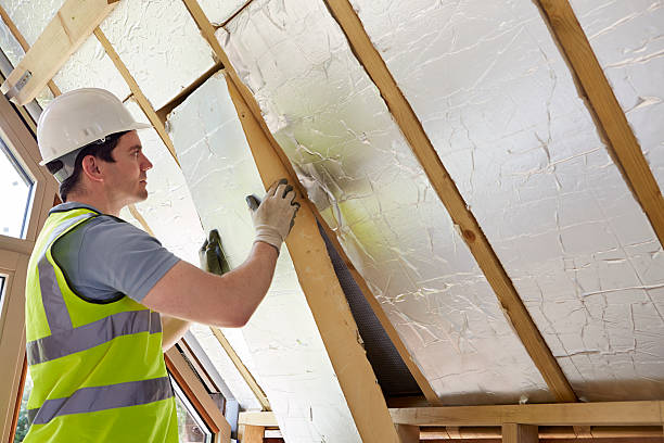 Best Insulation Maintenance and Repair in Pocahontas, AR